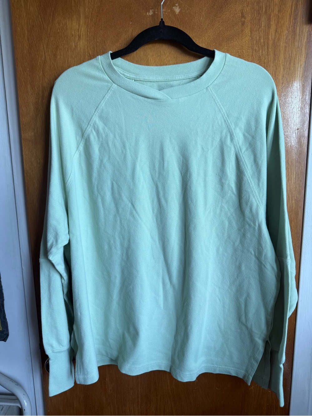 NWOT Aerie Mint Green Long-Sleeve Crewneck Top